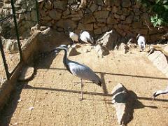 183 D21 SANARY SUR MER 1_000065